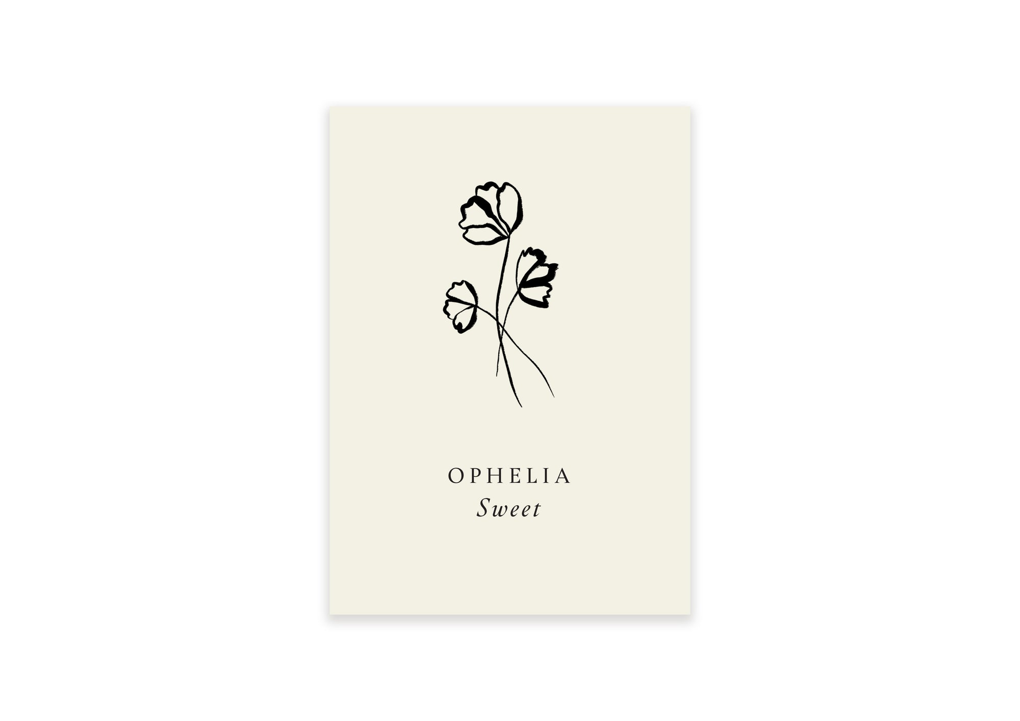 Set Gabrielle Flower Name Card Ten Story Stationery